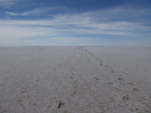 Lake Eyre on the ground